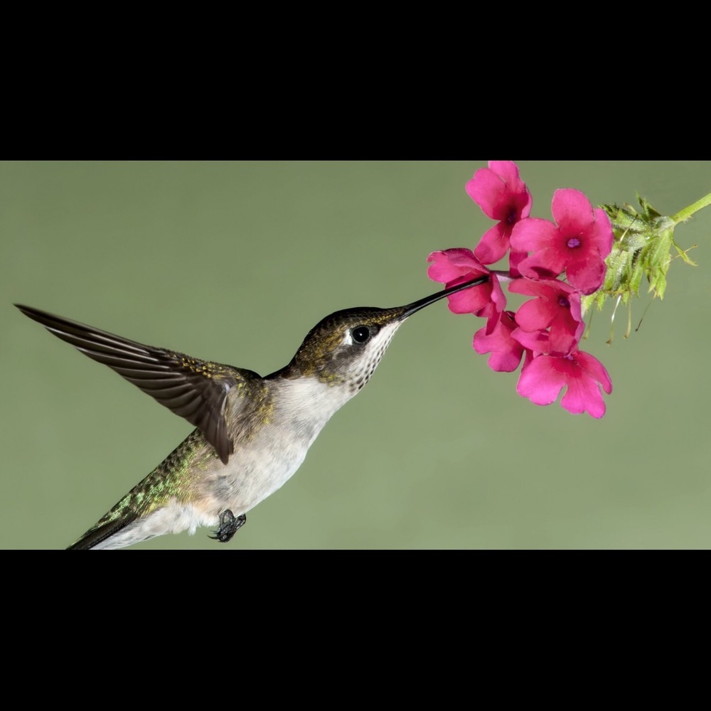 Meet your Posher, Kendra